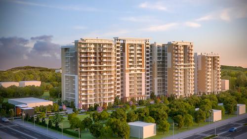  the-eminence Images for Elevation of Alliance The Eminence