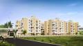 Shree Mahalaxmi Builders And Developers Shree Mahalaxmi Paradise