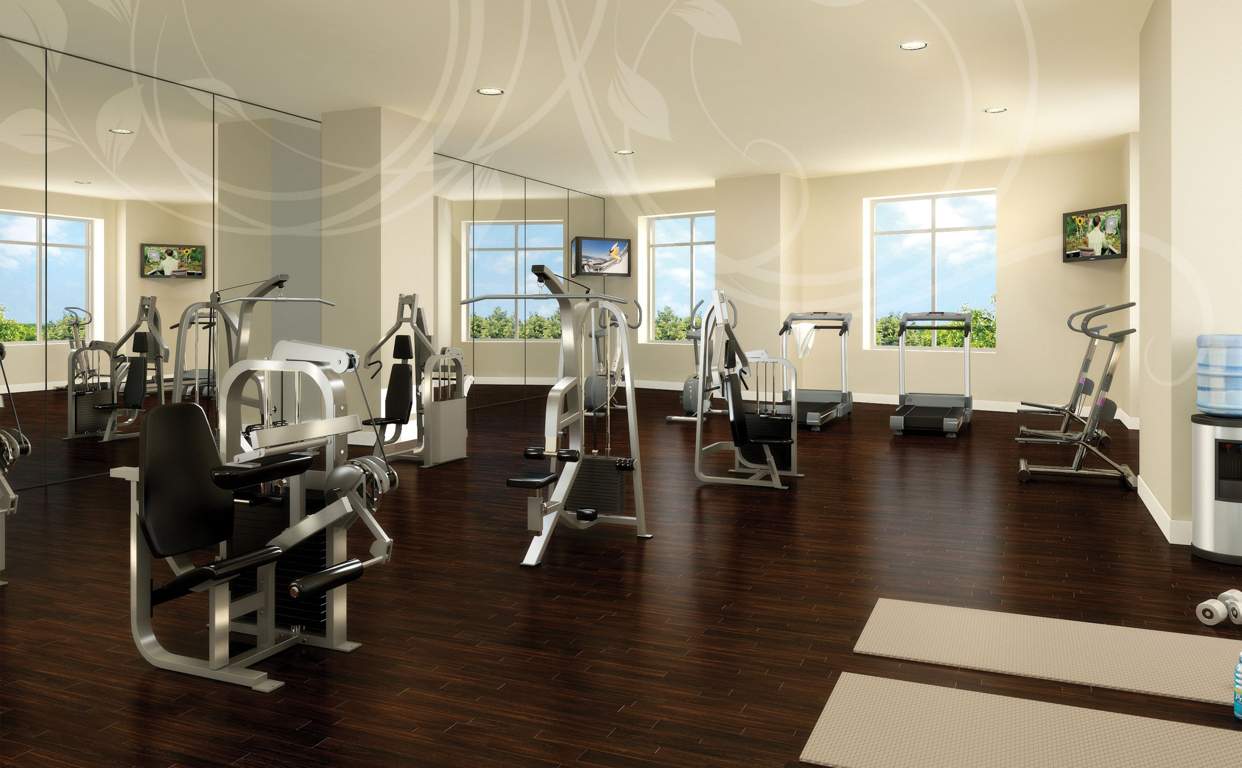  divine Images for Amenities of Sas Divine