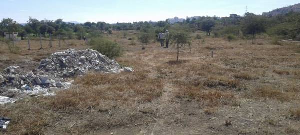 Images for Amenities of Dreamline Lotus