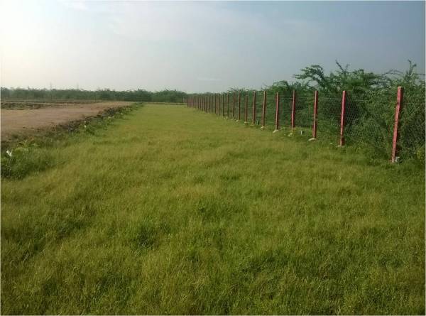 Images for Amenities of Metha Sai Shanthi