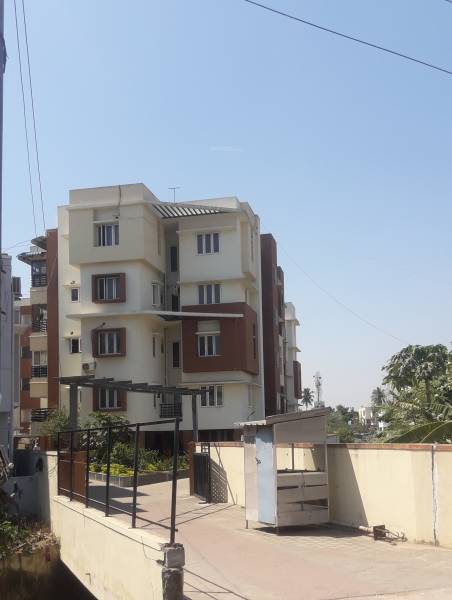 Elevation greens Elevation