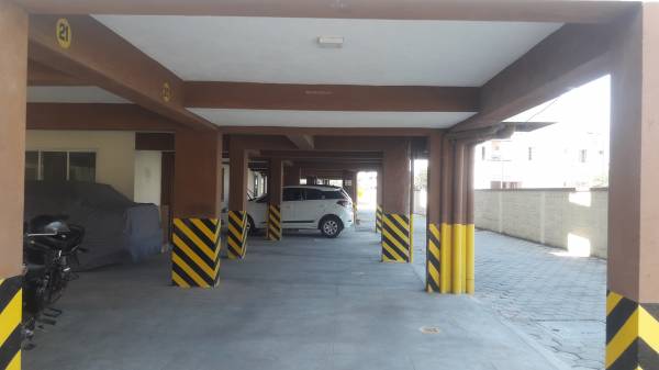 Car Parking greens Car Parking