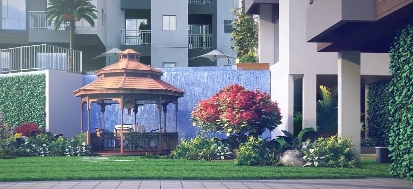  tolly gardenia Others