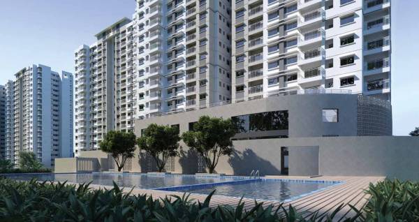  elysian Images for Project