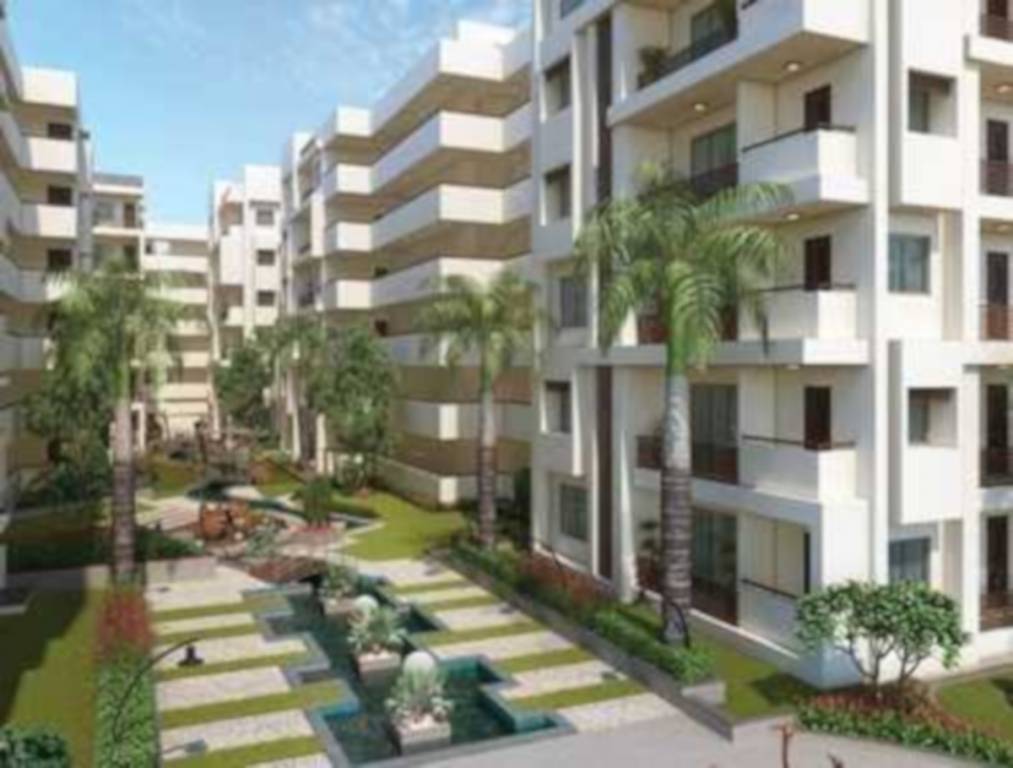 avighna Images for Project