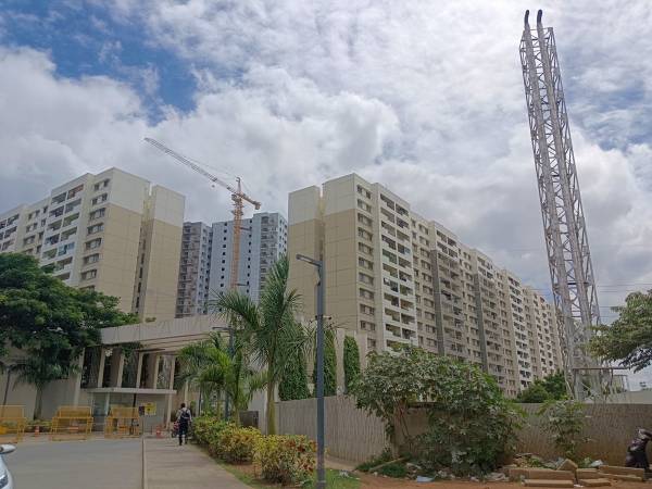  tropical-greens-at-dream-acres Elevation