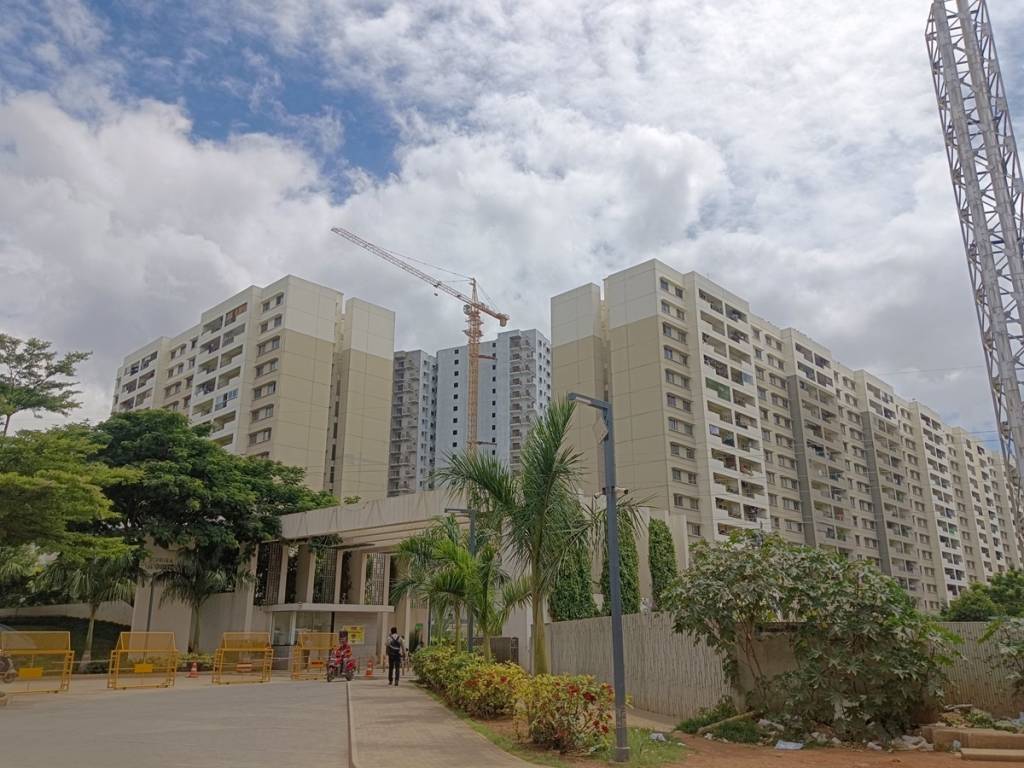  tropical greens at dream acres Elevation