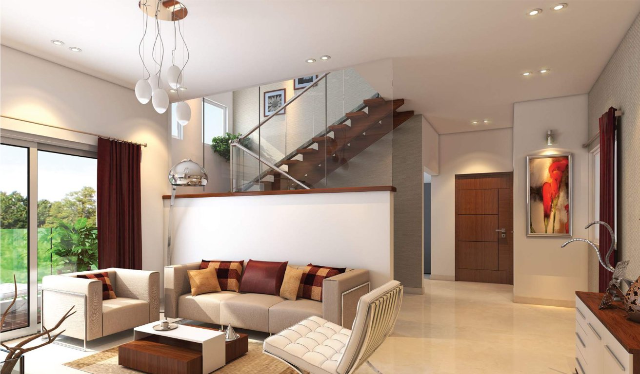 Images for Main Other of Evantha The Hummingbird