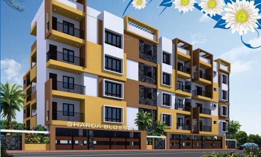 blossom Images for Elevation of Sharda Blossom Images for Elevation of Sharda Blossom