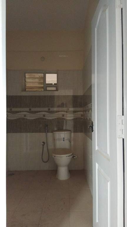  blossom Images for mainOther