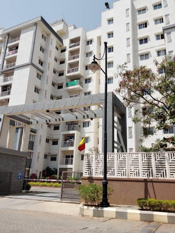  fontaine bleau Elevation