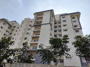  fontaine-bleau Elevation