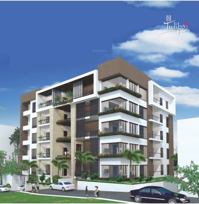 Images for Elevation of HSR Tulips Images for Elevation of HSR Tulips