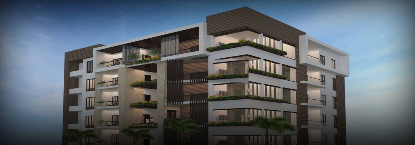 Images for Elevation of HSR Tulips