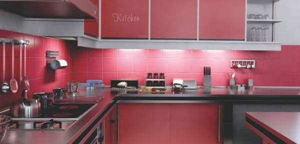 Images for Main Other of HSR Tulips Images for Main Other of HSR Tulips