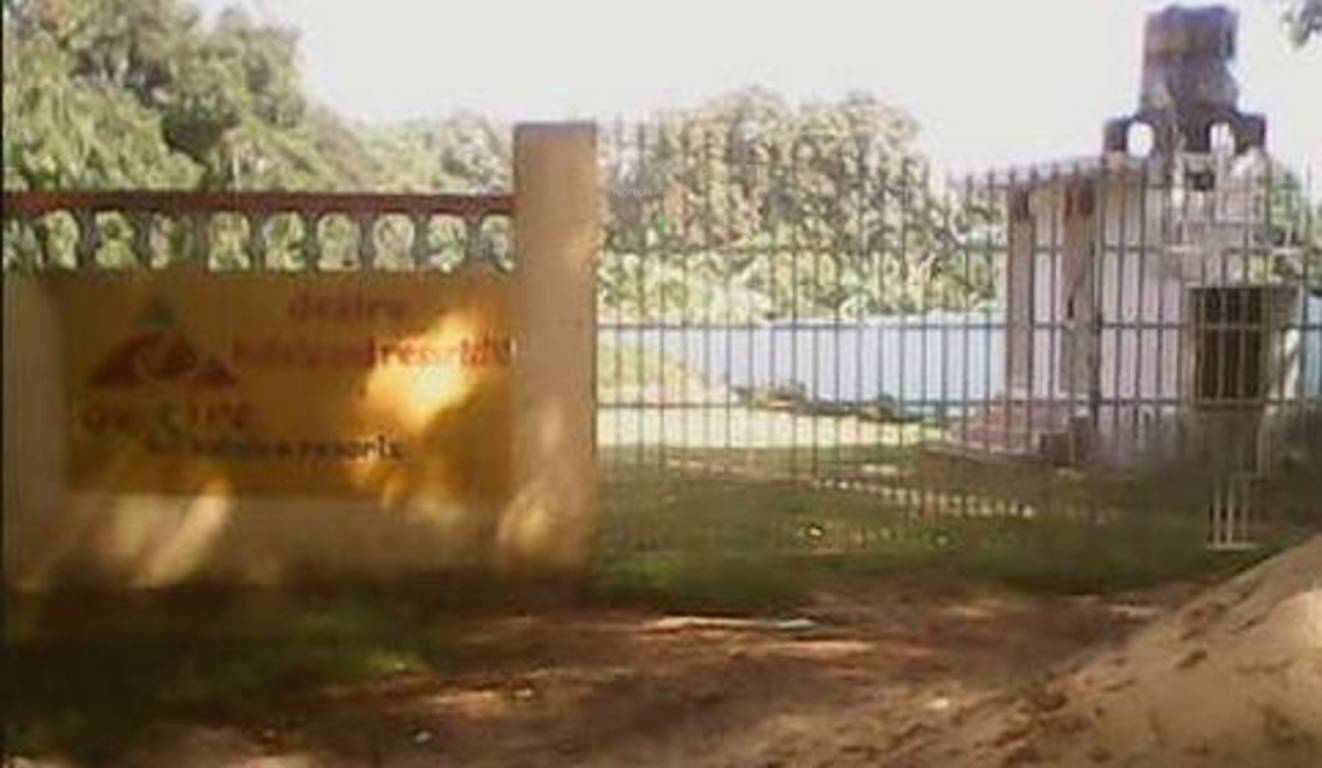 Images for Amenities of Miles Northern Enclave