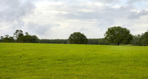  amravati Images for Amenities of Mega Amravati