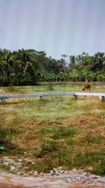  amravati Images for mainOther