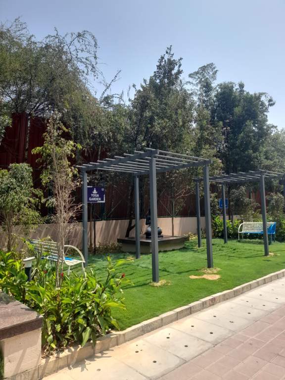  kings court Senior Citizen Sitout