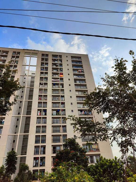  arena the square and pebble court Elevation