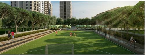 Basketball Court arena-the-square-and-pebble-court Basketball Court