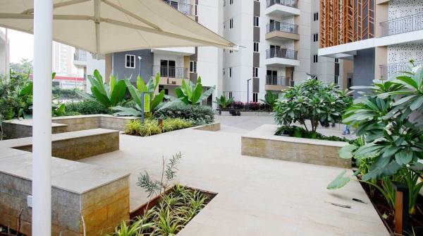 Senior Citizen Sitout palm-woods Senior Citizen Sitout