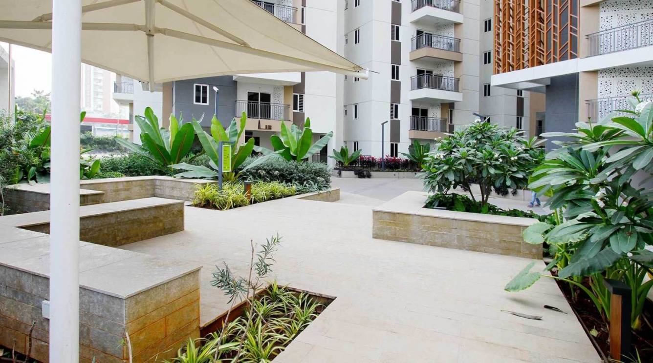  palm woods Senior Citizen Sitout