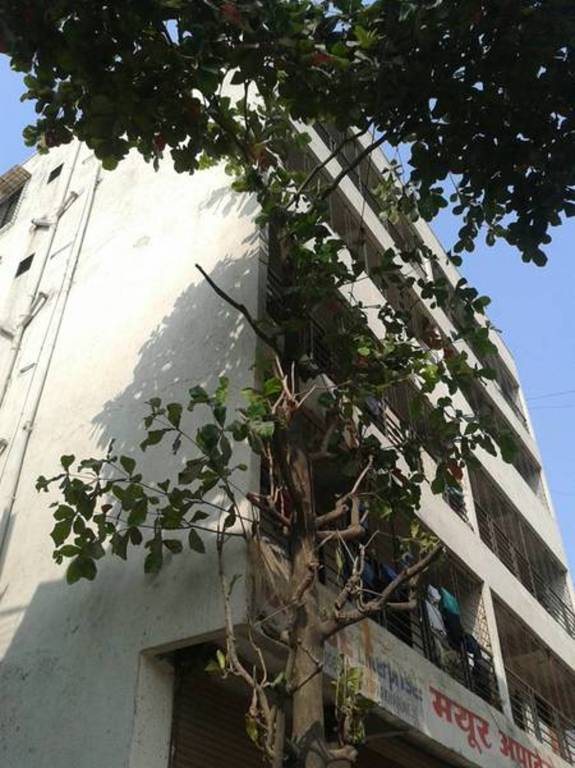 Images for Elevation of Reputed Builder Mayur Apartment