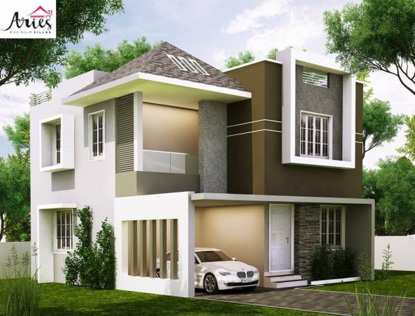  aries Images for Elevation of Confident Aries