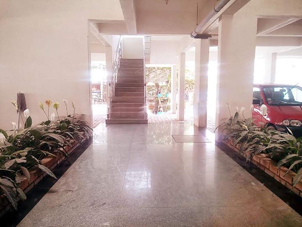  opulence Images for Amenities of DNA Opulence