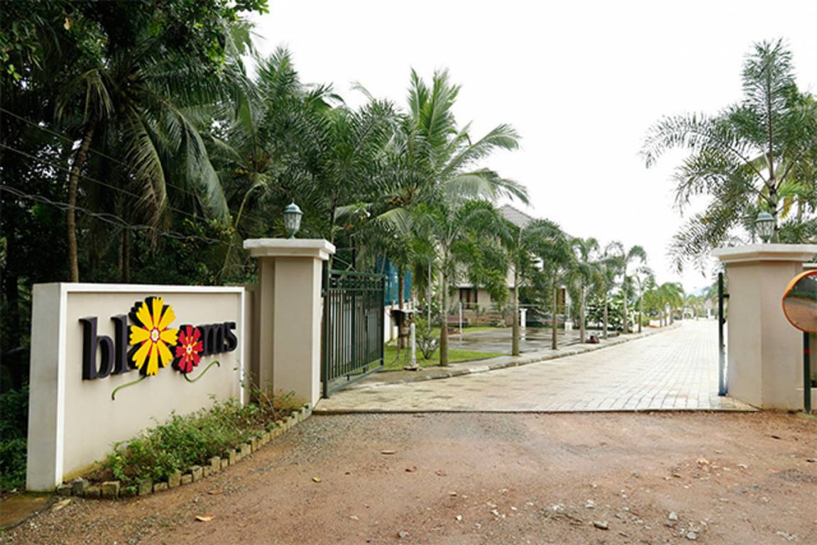 Images for Elevation of Prime Blooms