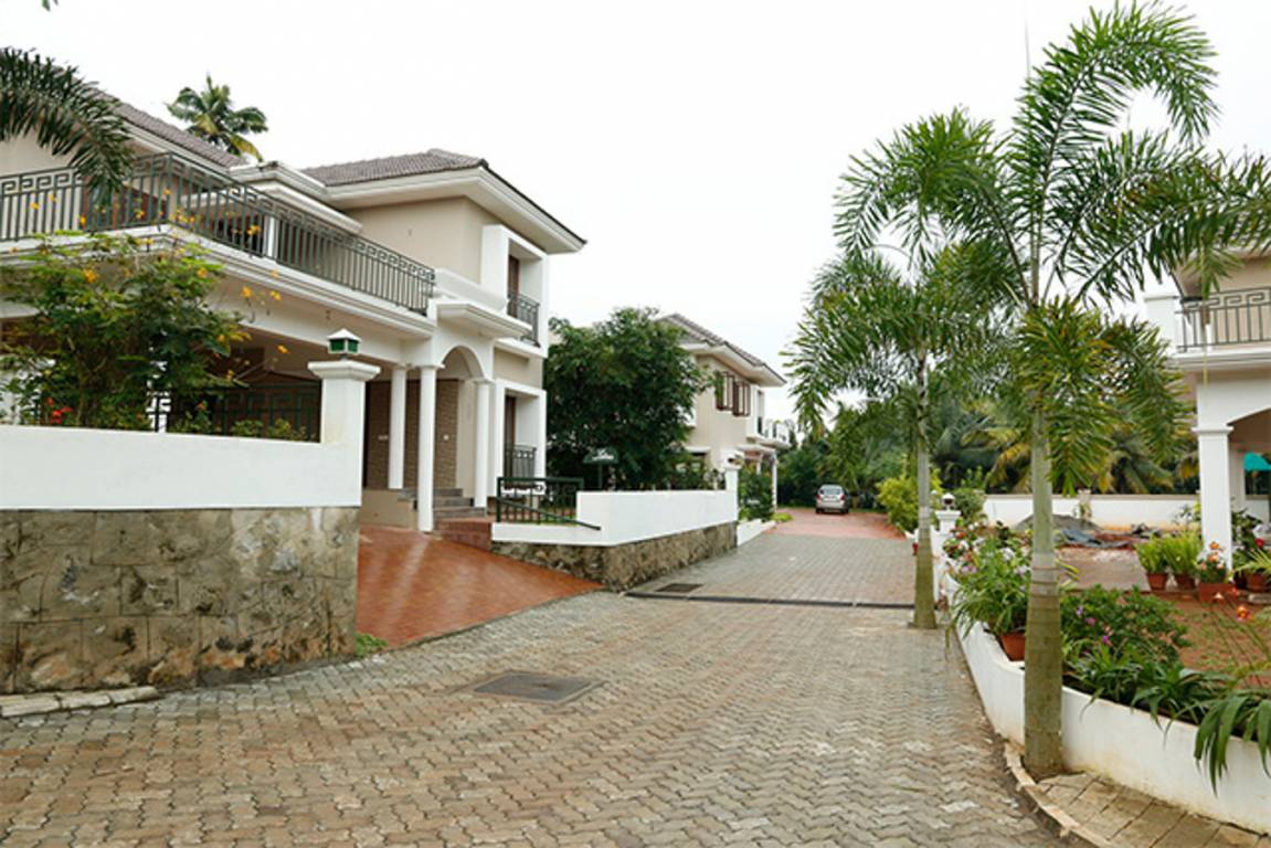 Images for Elevation of Prime Blooms