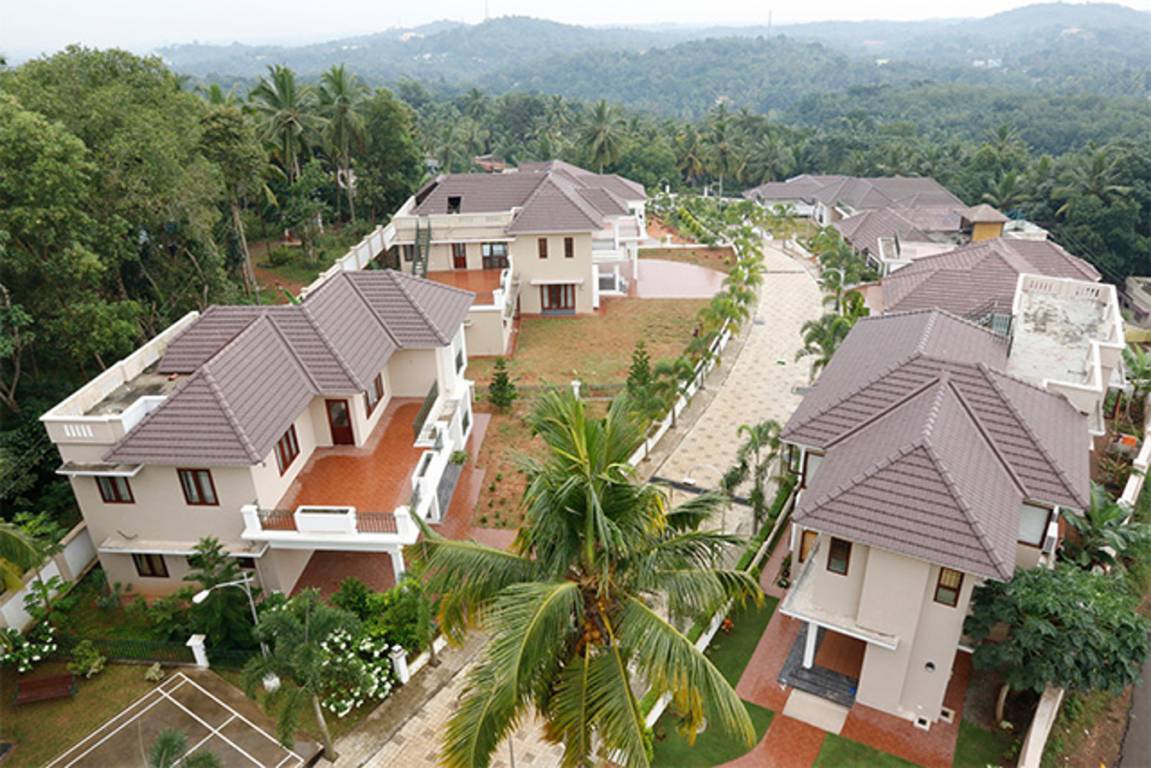 Images for Elevation of Prime Blooms