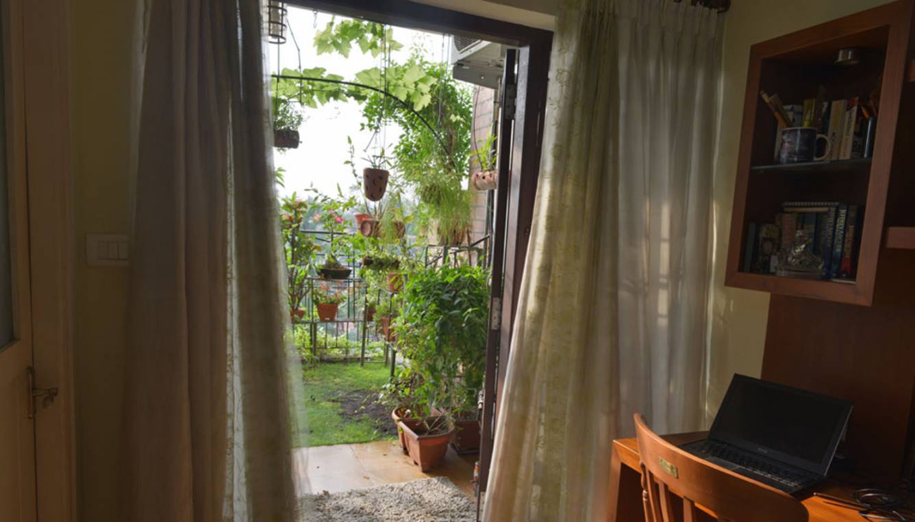 walk on the clouds Others