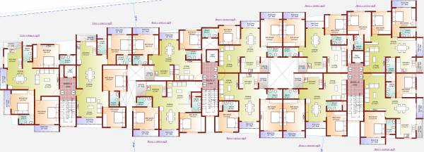  iris Images for Cluster Plan of DNA Iris