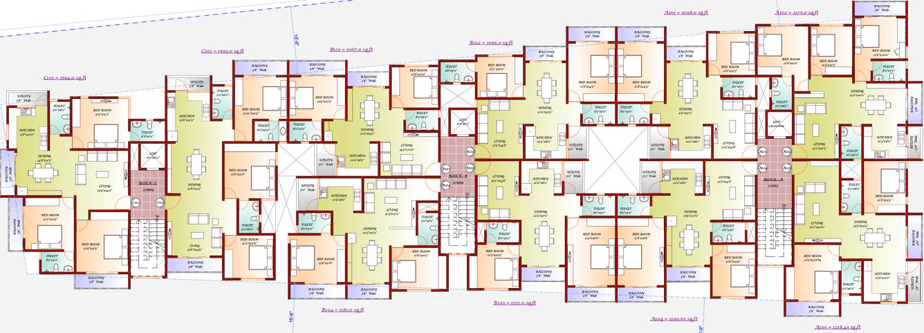  iris Images for Cluster Plan of DNA Iris