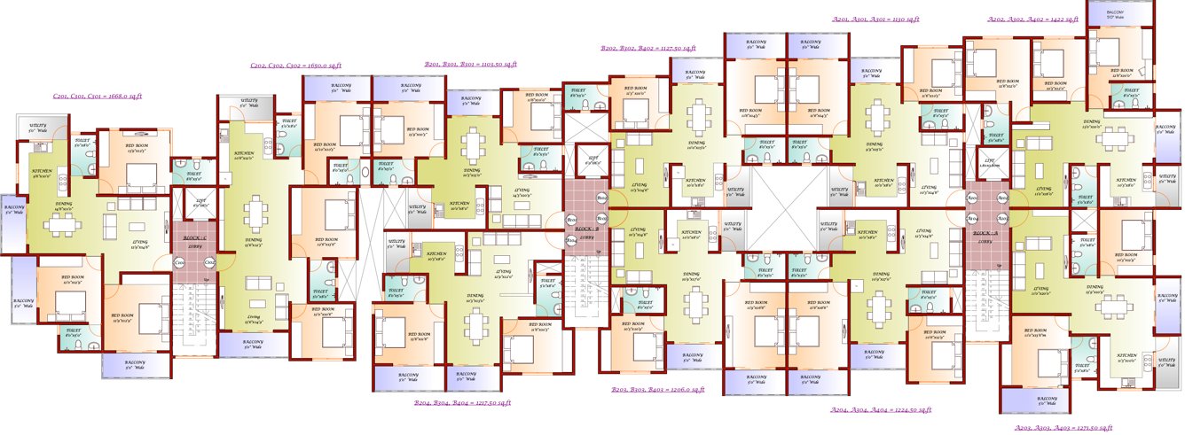  iris Images for Cluster Plan of DNA Iris
