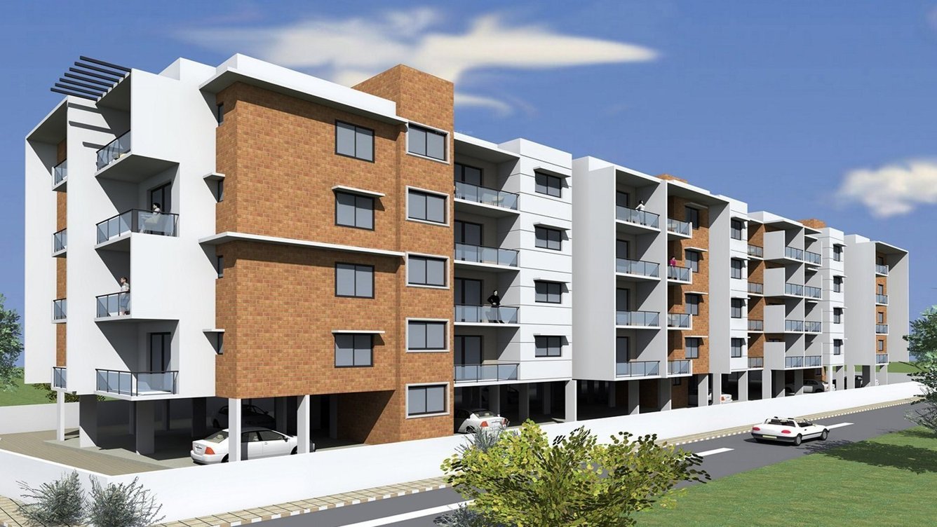  iris Images for Elevation of DNA Iris