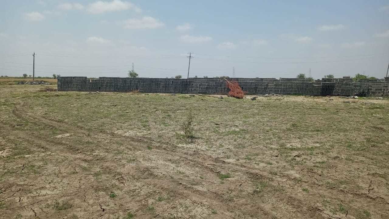  dholera global city Plot