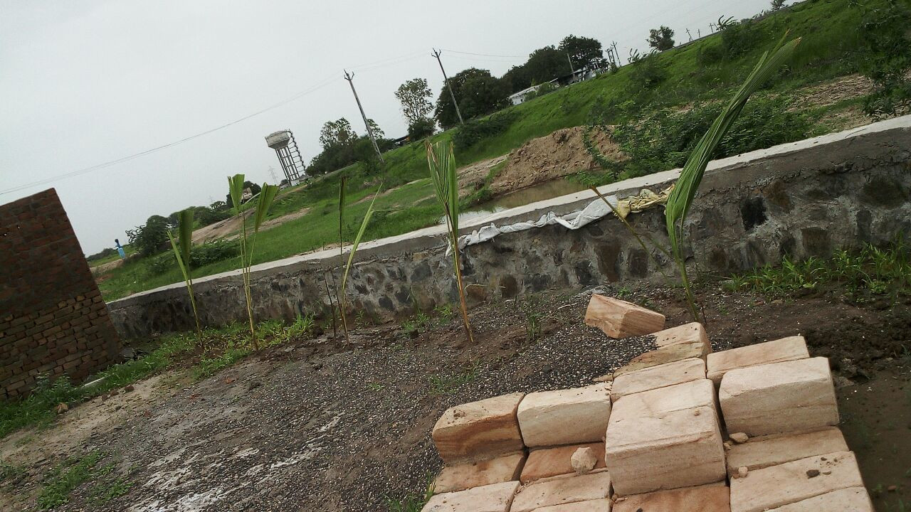  dholera global city Plot