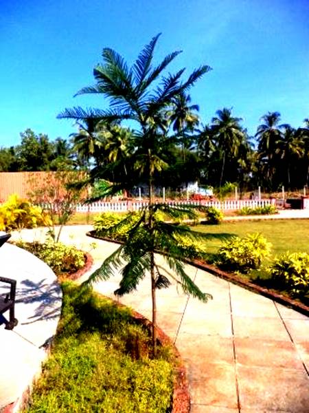 Images for Amenities of Palacio Regalo Images for Amenities of Palacio Regalo