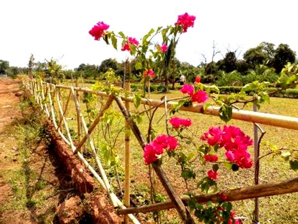 Images for Amenities of Palacio Regalo Images for Amenities of Palacio Regalo