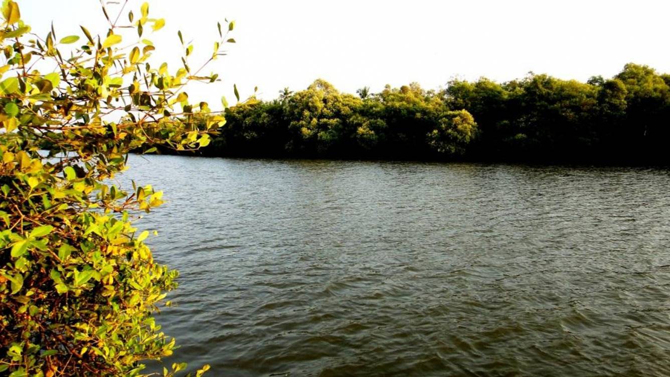 Images for Amenities of Palacio Grandeja