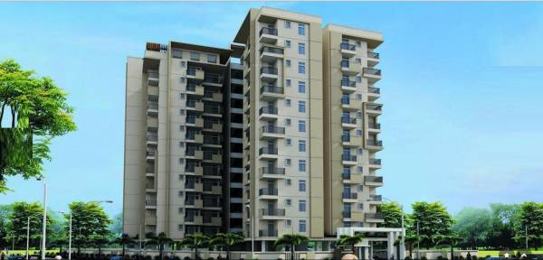  ample Images for Elevation of Mirus Ample