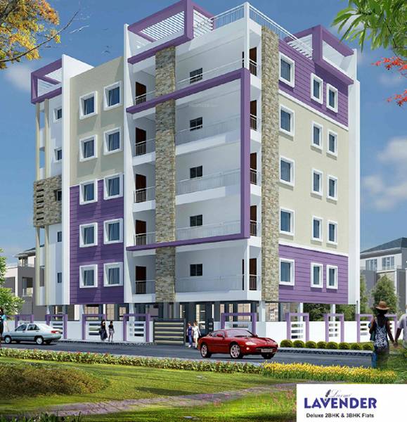 Images for Elevation of Laxmi Lavender