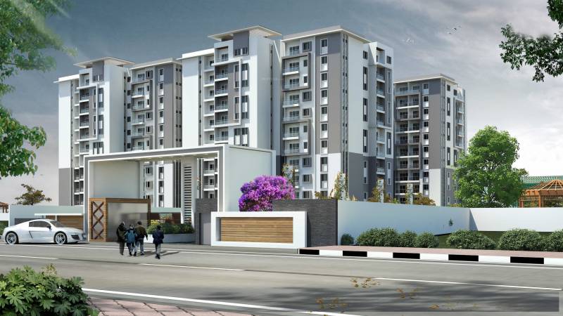 Images for Elevation of TG Ascent