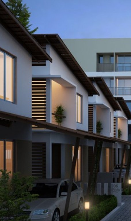 Images for Elevation of Nucleus Heyday