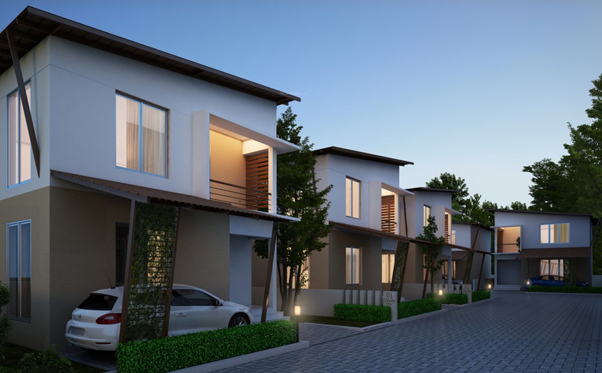 Images for Elevation of Nucleus Heyday