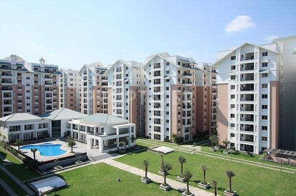 Trend Set Trendset Winz trendset-winz Trend Set Trendset Winz